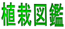 Ͽ޴