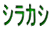 シラカシ